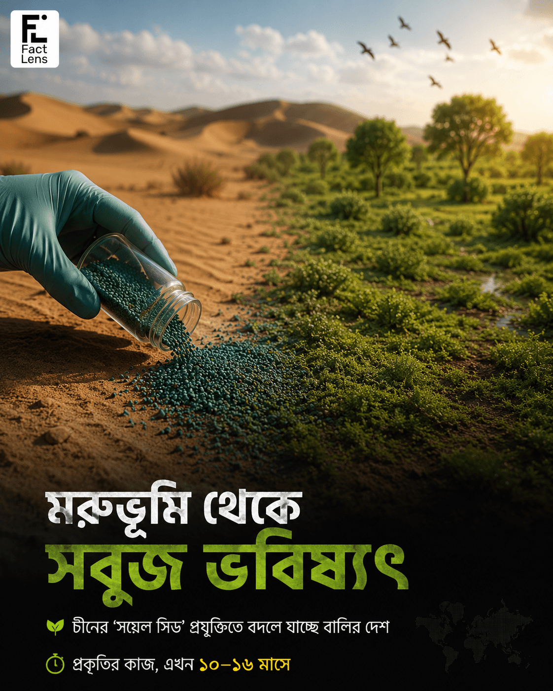 চীনে ‘সয়েল সিড’ প্রযুক্তির ব্যবহারে মরুভূমি রূপান্তরিত হচ্ছে কৃষিজমি ও বনাঞ্চলে।